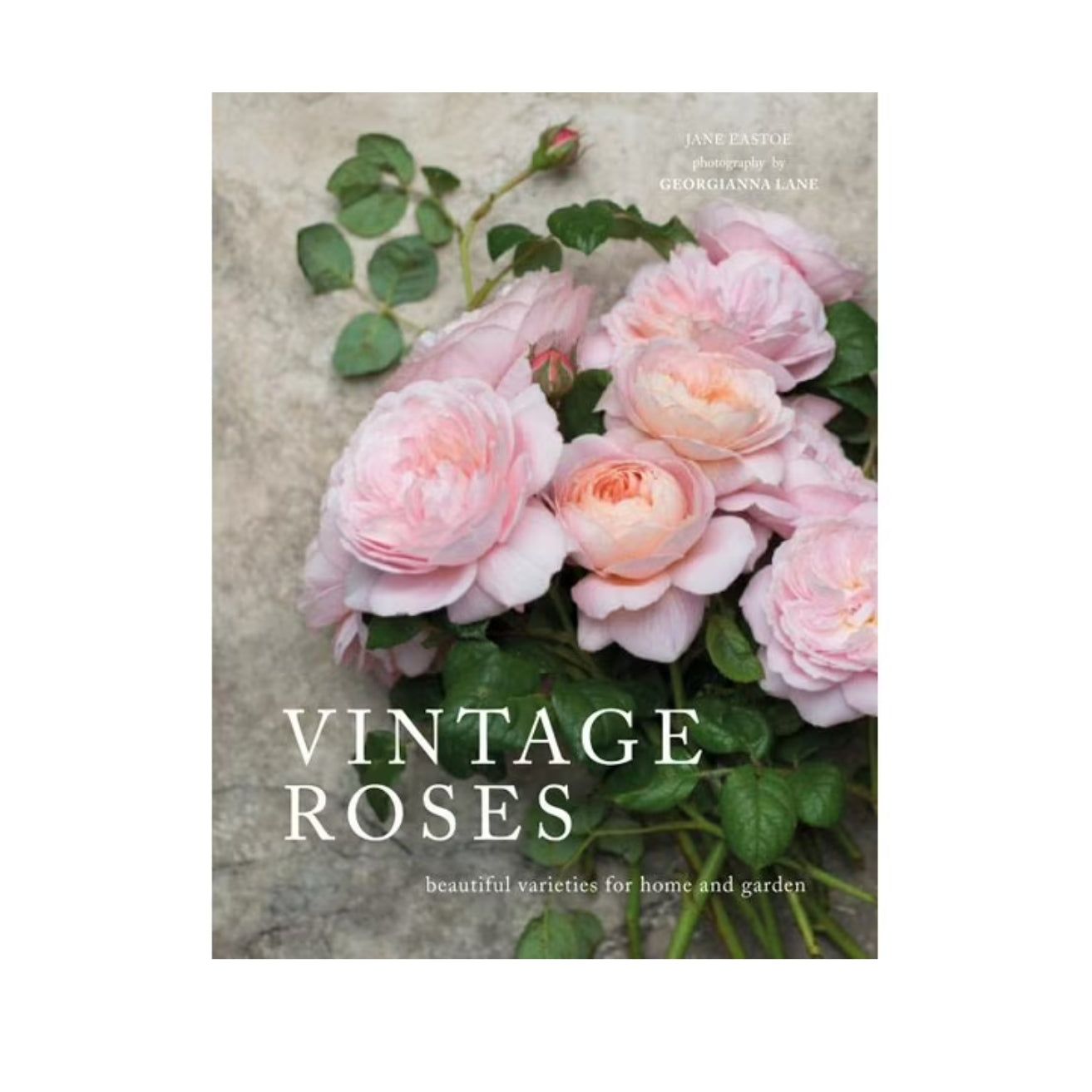 Vintage Roses - Beautiful Varieties for home and garden by Jane Eastoe