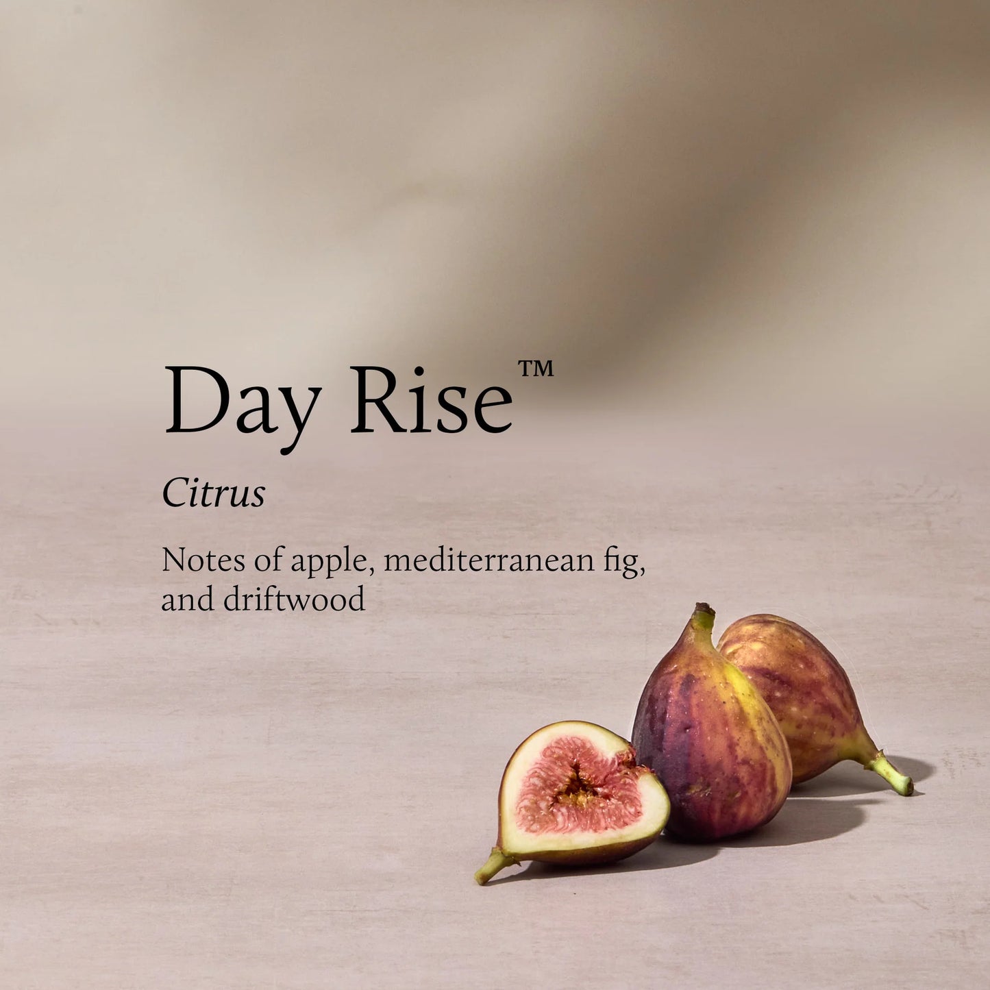 Thymes Day Rise Poured Candle 6.5oz
