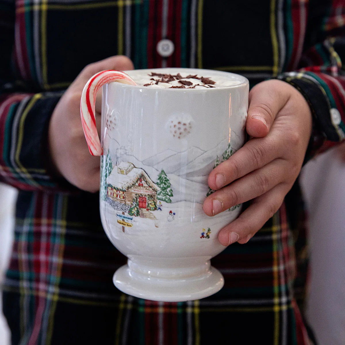 Juliska Berry & Thread North Pole Mug-