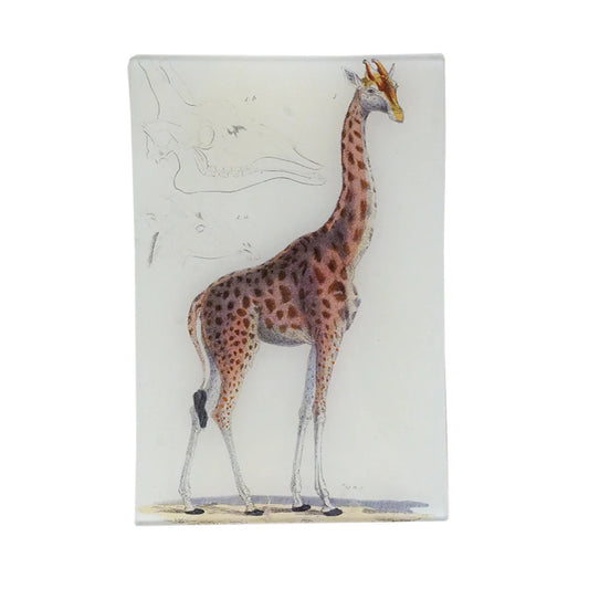 John Derian Decoupage Tray Giraffe #1 - La Petite Maison