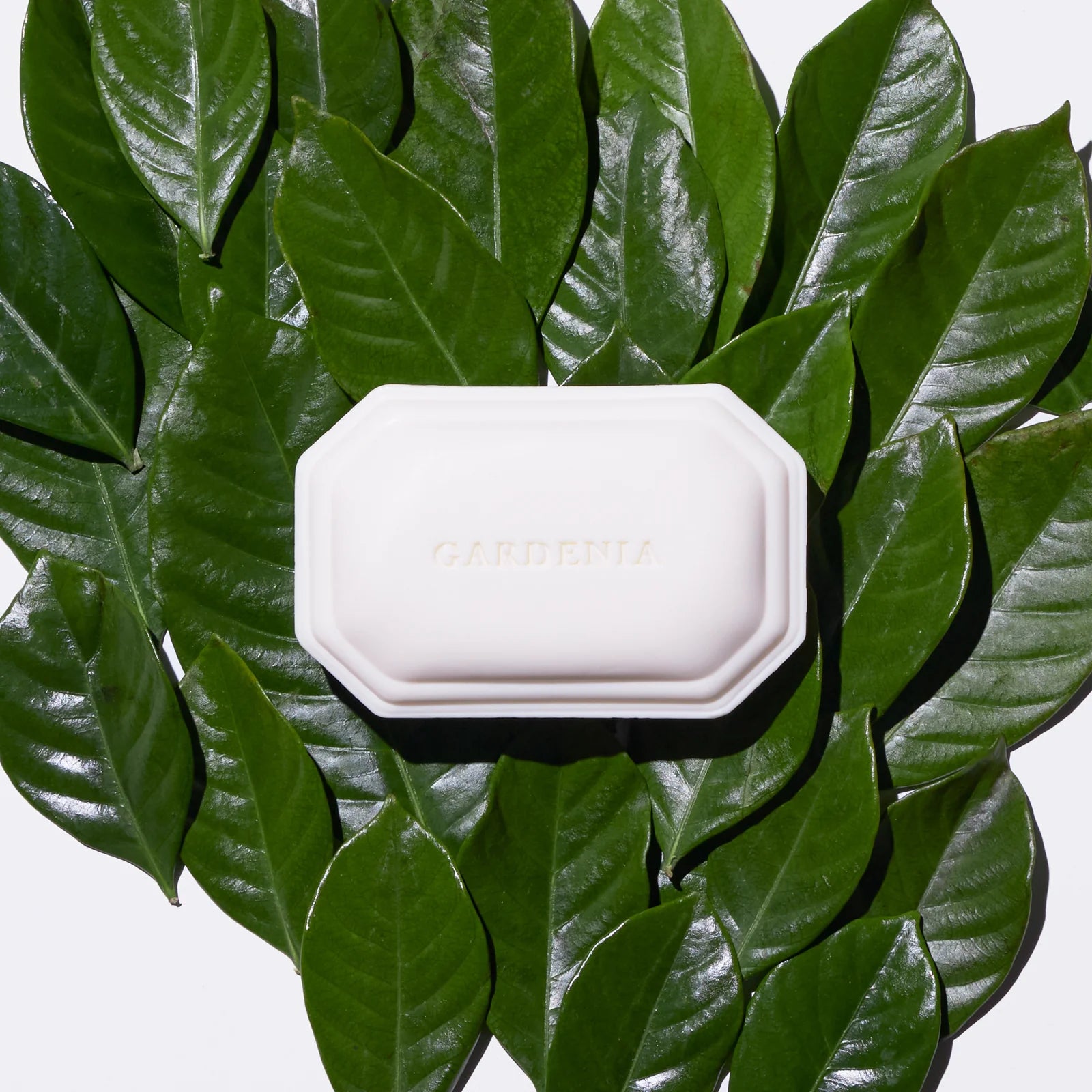 Caswell Massey Gardenia Bar Soap