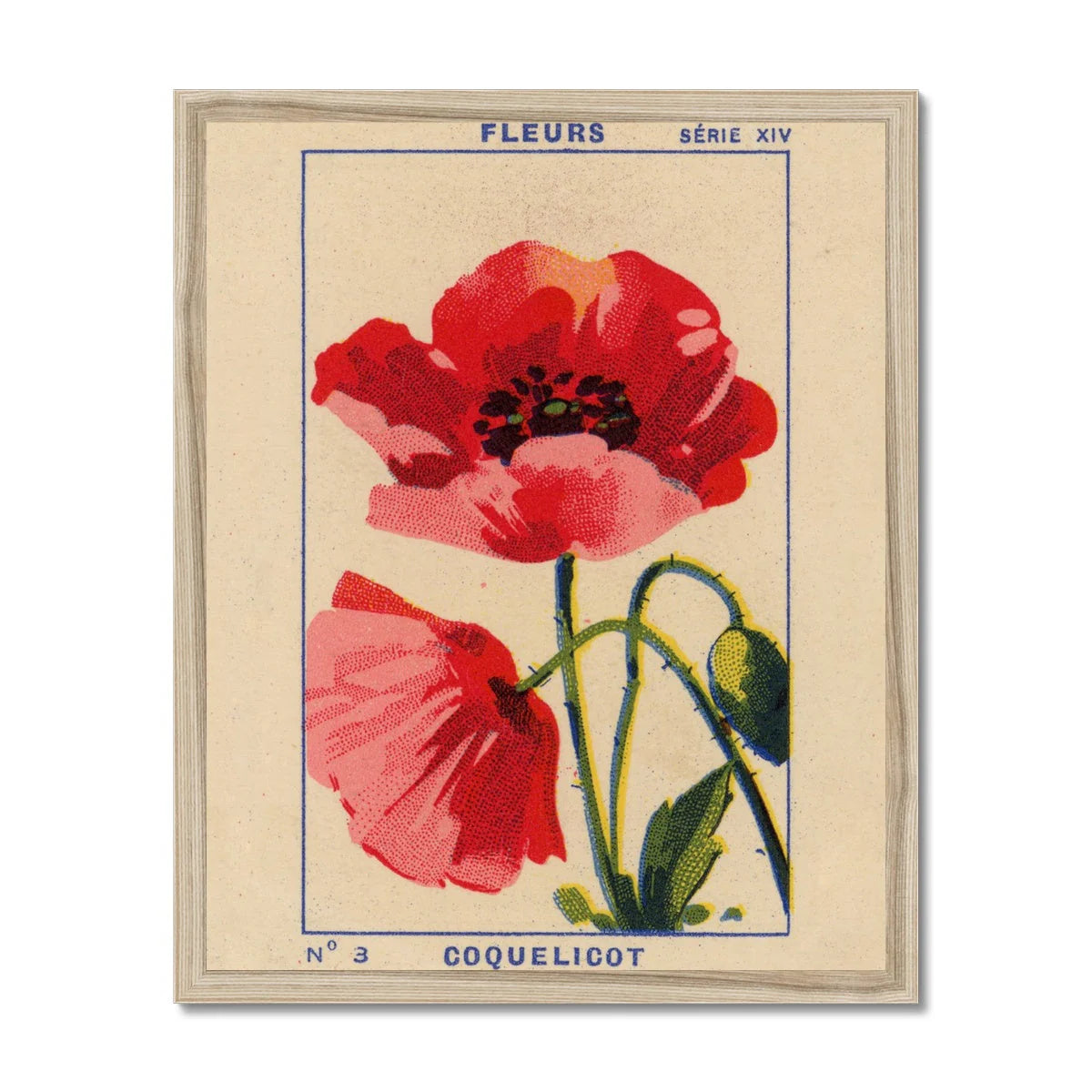 Coquelicot Poppy Print