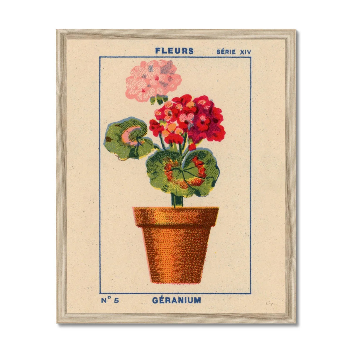 Geranium Print