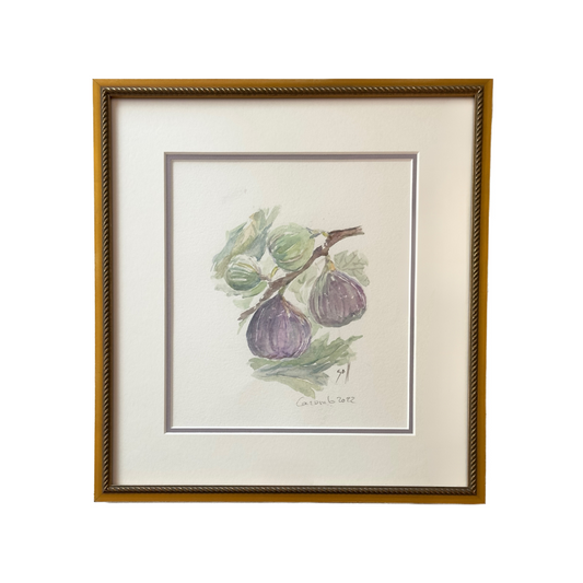Figs Watercolor