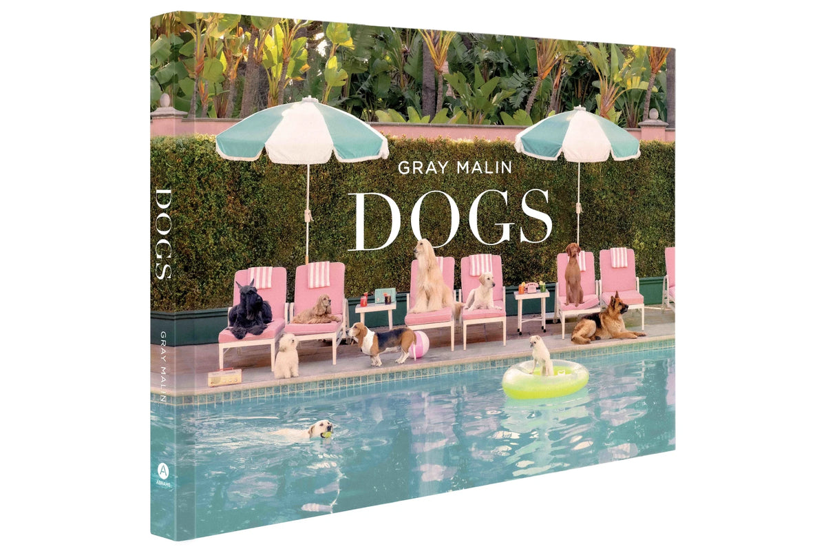 Gray Malin - Dogs