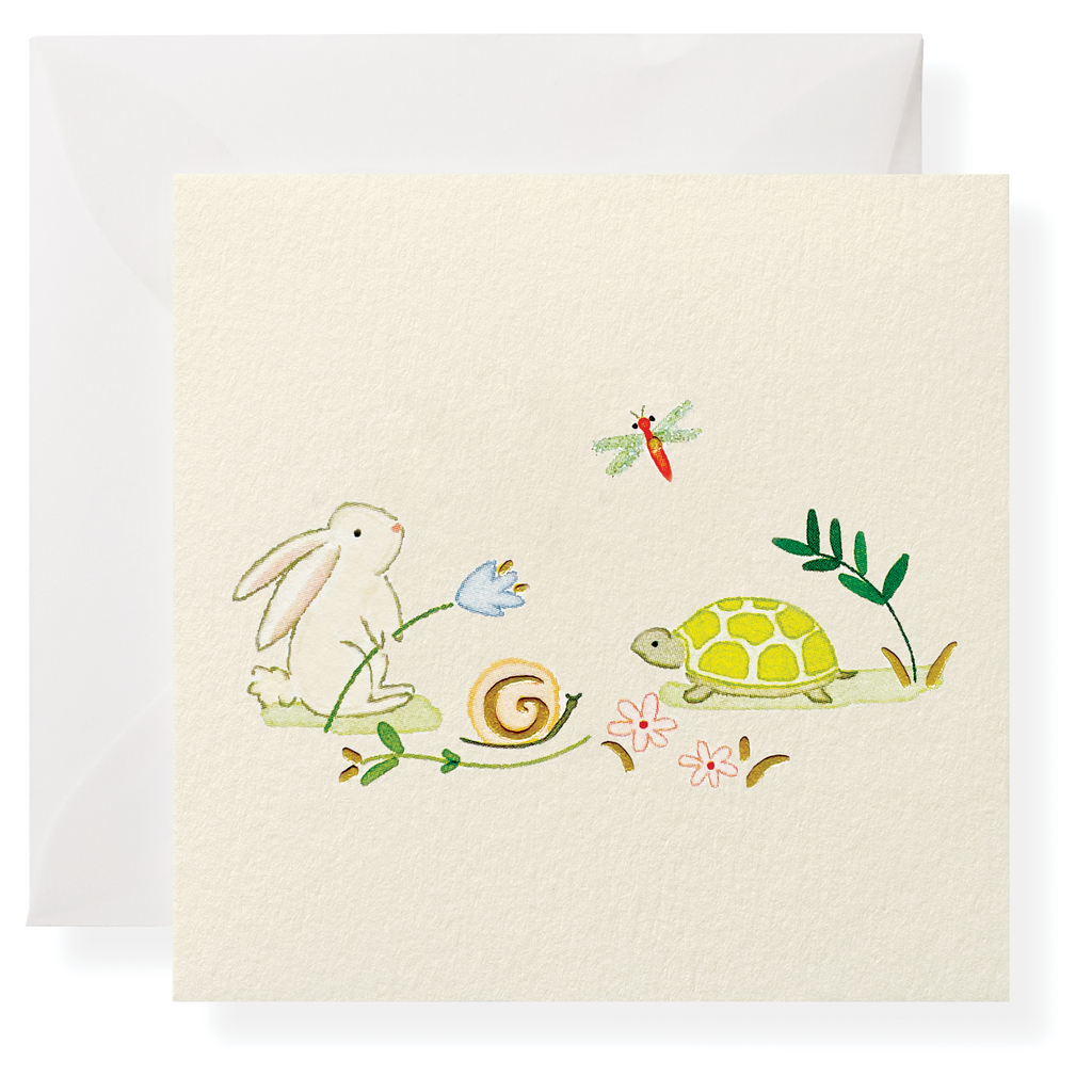 Turtle and Hare Enclosure