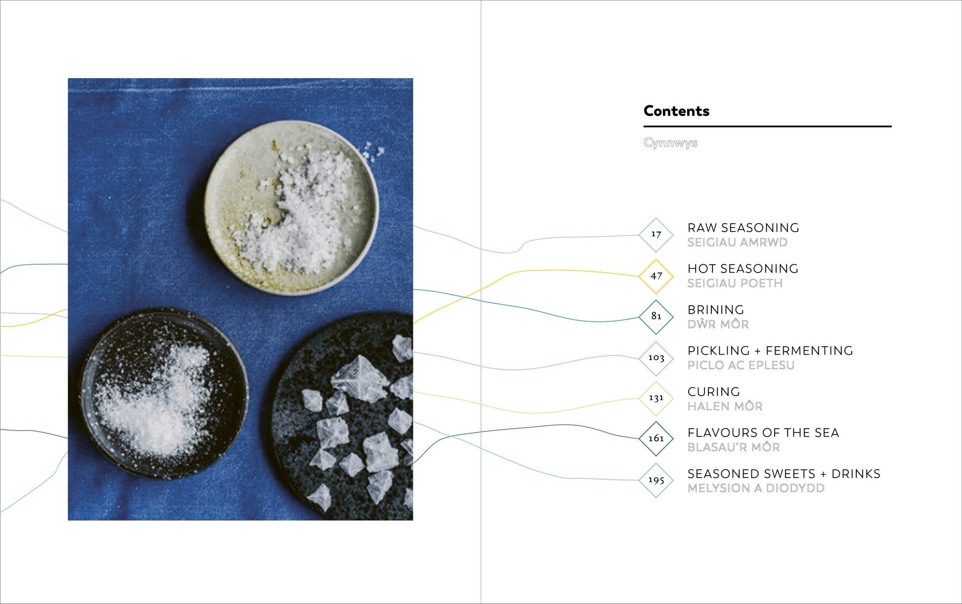 Sea Salt: A Perfectly Seasoned Cookbook by Lea-Wilson Family