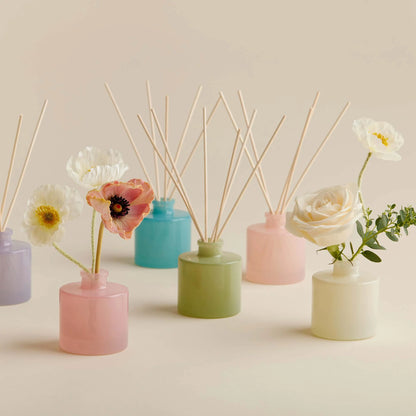 Eucalyptus Petite Reed Diffuser